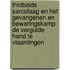 Thidbalds sarcofaag en het gevangenen en bewaringskamp De Vergulde Hand te Vlaardingen