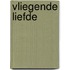 Vliegende liefde