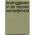 Leidinggeven in de nieuwe werkelijkheid