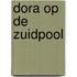 Dora op de zuidpool