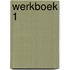 Werkboek 1