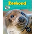 Zeehond