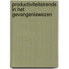 Productiviteitstrends in het gevangeniswezen door Thomas Niaounakis