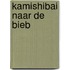 Kamishibai naar de bieb