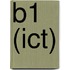 B1 (ICT)
