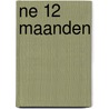 NE 12 maanden door M. Huijstee