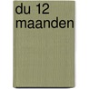DU 12 maanden door P. Pfeifer
