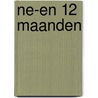 NE-EN 12 maanden by Johan Put