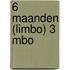 6 maanden (LIMBO) 3 MBO