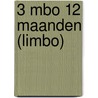 3 MBO 12 maanden (LIMBO) door A. Gool