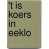 't Is koers in Eeklo by Mark van Hamme