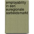 Employability in een Euregionale aArbeidsmarkt