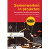 Samenwerken in projecten by Rob Groen