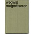 Wegwijs magnetiseren