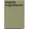 Wegwijs magnetiseren door Lotte Ruiter