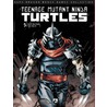Teenage mutant ninja turtles by Kevin Eastman