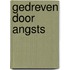 Gedreven door angsts
