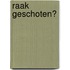 Raak geschoten?