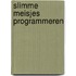 Slimme meisjes programmeren