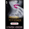 Proeven van de zonde by Letty James