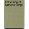 Zelfsturing of samensturing? door Kees Schilder