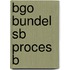 BGO Bundel SB Proces B