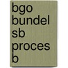 BGO Bundel SB Proces B by Unknown