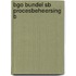 BGO bundel SB procesbeheersing B