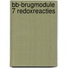 bb-brugmodule 7 redoxreacties door Ton van Berkel