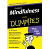 De kleine mindfulness voor dummies door Shamash Alidina