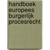 Handboek Europees Burgerlijk Procesrecht door Onbekend