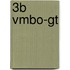 3b VMBO-gt