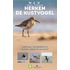 Herken de kustvogel