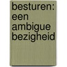 Besturen: een ambigue bezigheid door Arie de Ruijter