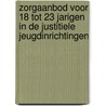 Zorgaanbod voor 18 tot 23 jarigen in de justitiele jeugdinrichtingen door L. Boendermaker