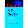 Trauma en werk by Sjef Berendsen