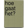 Hoe gaat het? door Henny Bos