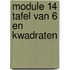 module 14 Tafel van 6 en kwadraten