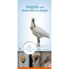 Minigids vogels van Nederland en België door Jip Louwe Kooijmans