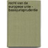 Recht van de Europese Unie - Basisjurisprudentie