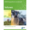 Veluwe by Unknown