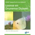 De Loonse en Drunense duinen