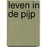 Leven in de Pijp