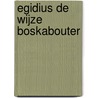 Egidius de Wijze Boskabouter door Jac Verhoeven