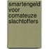 Smartengeld voor comateuze slachtoffers