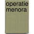 Operatie Menora