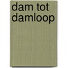 Dam tot damloop by Peter Horsselenberg