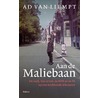 Aan de Maliebaan by Ad van Liempt