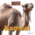 Kameel