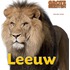 Leeuw